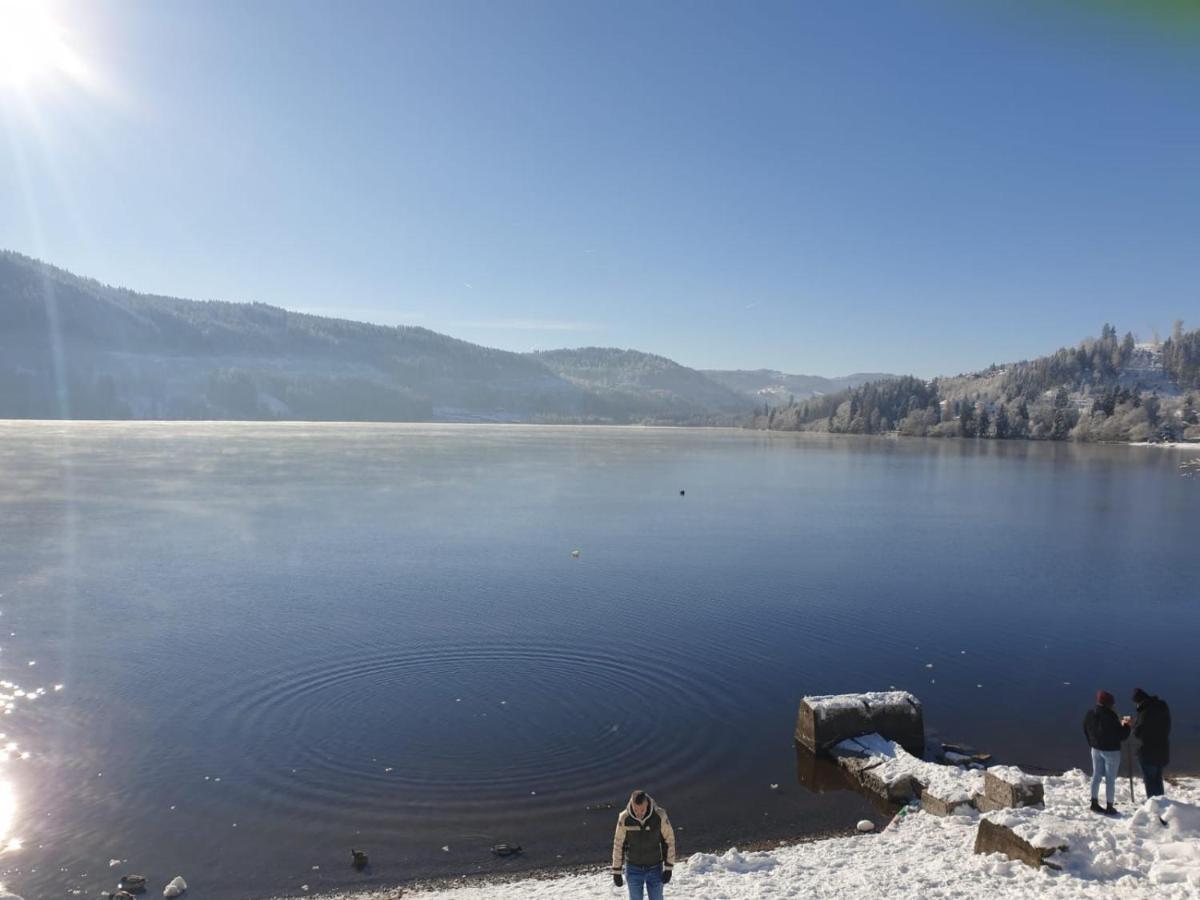 Am Seebach, 80 Qm * Titisee-Neustadt